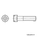 00-00-0815 SP武川 ソケットキャップスクリュー 8X75 (3個) JP店