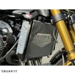 309-404-000T アグラス AGRAS ラジエターサイドカバー TI Z900RS 21年-25年 Z900RS JP店
