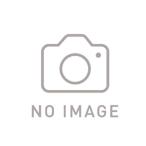 ZD-447CT ベスラ Vesrah スポーツパッド シンタードメタル JP店