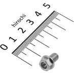 【メーカー在庫あり】 ZT03-0610 ジータ ZETA チタンフランジボルト 汎用 スタンダード M6 P1.0 10mm 1本入り JP店