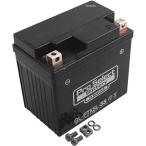 [ производитель наличие есть ] PSB104 Pro select PROSELECT аккумулятор для мотоцикла гель модель GL-PTX5L-BS YTX5L-BS сменный ( жидкость входить зарядка settled ) JP магазин 