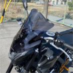 120532 アクリポイント ACRY-POINT スクリーン 21年-23年　MT-09　スモーク JP店