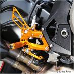 002-BM012BK ベビーフェイス BabyFace バックステップキット 17年以降 BMW S1000R 黒 JP店