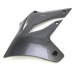 49089-0016-6C Kawasaki оригинальный защита двигатель левый черное дерево JP