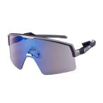 【New】 CR-3901 GMR スワンズ SWANS サン�