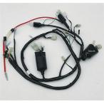 【メーカー在庫あり】 610400 ポッシュ POSH 93/94NSR50 メインハーネス 32100-GT4-690 JP店