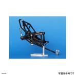WBS-K18-0B ウッドストック ZX-6RR バッ