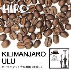 コーヒー豆(キリマンジャロ  ウル農園 100g)(中煎り)(シングルオリジン)マチャレ 自家焙煎 スペシャルティコーヒー 量り売り