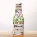 尾瀬の木道