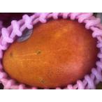 アップルマンゴー