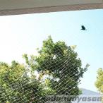  защита от птиц сеть 3×8m птица .. сеть прозрачный kalas.. голубь .. веранда вредитель меры товары отметка ..SxP