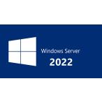 Windows Server 2022 Datacenter 1PC 日本語版 