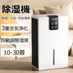 空気清浄機 除湿機能付き 除湿器 ペルチェ式 強力 小型 コンプレッサー式 半導体式 部屋干し コンパクト電気代 静音 マイナスイオン機能 省エネ 梅雨対策 2024
