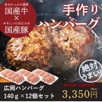 ハンバーグ(合挽き)12個詰め合わせセット(140g×12)