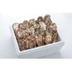  прямая поставка от производителя Hiroshima производство . имеется ..5kg(32~40 шт ) прохладный рейс нагревание для . остров близко море .... крупный .. включая доставку устрица ..( АО )a ошибка i