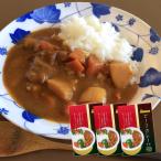 大粒のひろしま牛をとろっとろに柔らかく煮込みました　ビーフカレー 中辛 200g 広島牛 使用 3個セット 送料込み レトルト 和牛 ご当地グルメ 帝釈峡スコラ お土産