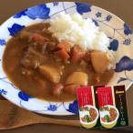 大粒のひろしま牛をとろっとろに柔らかく煮込みました　ビーフカレー 中辛 200g 広島牛 使用 2個セット 送料込み レトルト 和牛 ご当地グルメ 帝釈峡スコラ お土産