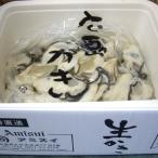  прямая поставка от производителя Hiroshima производство сырой .....500g прохладный рейс . остров близко море .... крупный .. включая доставку устрица .. кастрюля ( АО )a ошибка i