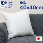 ほこりの出にくい ヌードクッション 40×40cm 正方形 日本製 寝れる クッション 中身 大きい 腰クッション クッションBODY クッションカバー 洗える