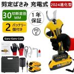 剪定ばさみ 充電式 剪定ばさみ 電動ハサミ ブラシレスモーター採用 開き口30mm 4段階開き角度調整可能 枝切りはさみ 庭木 果樹用 剪定鋏 園芸用具 2個バッテリー