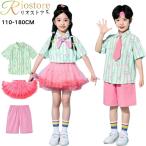  Cheer танцевальный костюм ученик начальной школы детский сад Kids Dance. презентация выставить симпатичный ребенок одежда танцевальный костюм полоса арбуз рисунок зеленый рубашка розовый chu-ru юбка брюки 