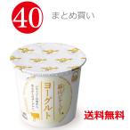 . гора .... джерси -40 шт . данный земля йогурт Grand Prix золотой ..... популярный Okayama [ среда до полудня . пятница отгрузка ] бесплатная доставка 