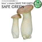  вёшенка степная примерно 100g пестициды * химия удобрение не использование местного производства 