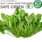 fu...f Dan saw 500g химия пестициды * химия удобрение не использование Chiba префектура производство 