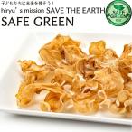  белый ki медуза (.) 12g ввод 1 пакет местного производства белый иудино ухо пестициды * химия удобрение не использование Кагосима производство иудино ухо ki медуза сухой .. .