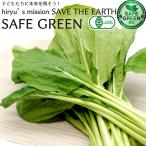  шпинат комацуна 1kg местного производства химия пестициды * химия удобрение не использование Chiba производство Komatsu na волчок ..