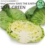 1 шар капуста химия пестициды * химия удобрение не использование Chiba префектура производство .... салат окономияки 