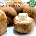  Brown гриб 1 пакет 100g пестициды * химия удобрение не использование Hyogo производство 