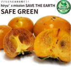 柿500g農薬・肥料不使用千葉県産品種