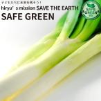  1 шт. длина . длина лук порей белый лук порей длина лук-батун химия пестициды * химия удобрение не использование культивирование Chiba префектура производство SAFE GREEN засвидетельствование 