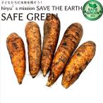  грязь имеется морковь 500g пестициды * удобрение не использование Hokkaido производство .. небо sho морковь человек Gin SAFE GREEN засвидетельствование safe зеленый засвидетельствование овощи 