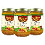  иметь машина арахисовое масло гладкий 454g x 3 шт. комплект a Lisa n(ALISHAN)