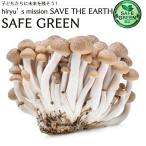 b нет meji100g пестициды * химия удобрение не использование Nagano производство 