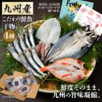 母 カーネーション付  九州産 魚の 干物セット 4種 花 ひもの のど ぐろ ヤリイカ 豪華 高級