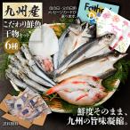 母の日  カーネーション付 九州産 魚の干物セット 6種 花 ひもの のどぐろ ヤリイカ 豪華 高級