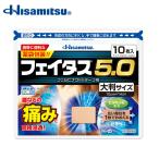 [ no. 2 вид фармацевтический препарат ]feitas5.0 большой размер 10 листов 