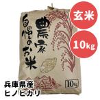 兵庫県産 ヒノヒカリ 米 コメ 新米 玄米 10kg 数量限定 わけあり