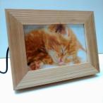 HITA криптомерия LED фоторамка ( ограниченный товар )