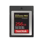  SanDisk ekto Lee m Pro CFexpress Type B карта 256GB SDCFE-256G-JN4NN