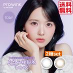 カラコン ProWink プロウィンク ワンデー (10枚)　2箱