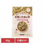 (10 шт ) Каждый день еда . хочет солнце . большой земля. реальный 