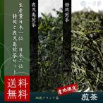  зеленый чай Shizuoka зеленый чай 100g + Кагосима зеленый чай 100g (200g) чай лист 