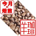 Yahoo! Yahoo!ショッピング(ヤフー ショッピング)今月の焙煎コーヒー豆 グアテマラSHBアンティグア 400ｇおすすめ 中煎り 珈琲専門 ポイント消化