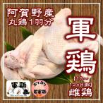 プリプリ若軍鶏メス中抜丸鶏≪6〜1...