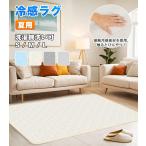冷感ラグ 夏用 ラグ カーペット ひんやり 接触冷感 高反発 軽量 洗える 丸洗いOK 滑り止め 抗菌防臭 おしゃれ 無地 厚手 熱中症対策 S/M/L