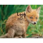 【サイン本】Look at me! 動物たちと目が合う1/1000秒の世界　井上 浩輝／KADOKAWA
